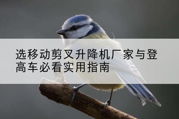 海棠电动升降机厂家-选移动剪叉升降机厂家与登高车必看实用指南