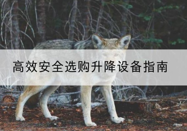 海棠升降货梯厂家推荐-*安全选购升降设备指南