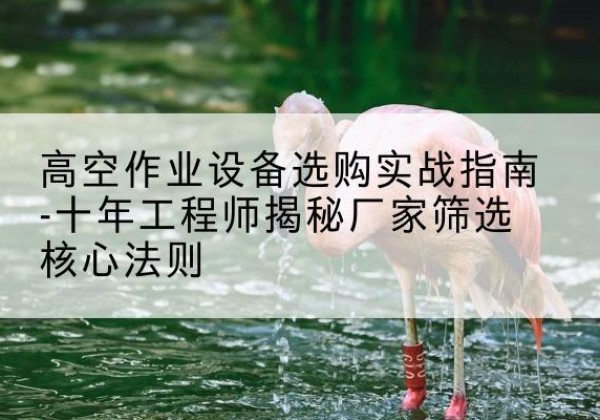海棠剪叉式升降机厂家-高空作业设备选购实战指南-十年工程师揭秘厂家筛选核心法则